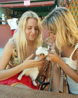 Mpl Studios - 03-1841003