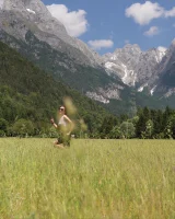 Mpl Studios - 18-stefani-postcard-from-log-pod-0019