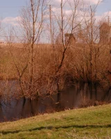 Nude Art - 17-katyusha-early-swimmer-2000_017