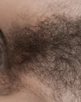 We Are Hairy - 54-Pavla_GreyBlouseStripedBed_072